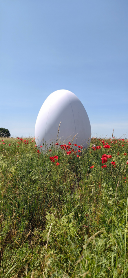 Großes Osterei auf Blumenwiese